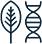 Leaf and DNA strand icon
