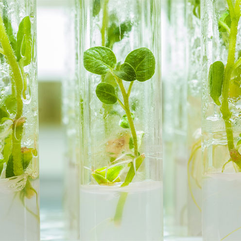 Life sciences featured image Life sciences featured image